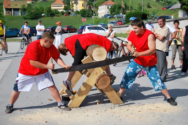 In hlod je odžagan